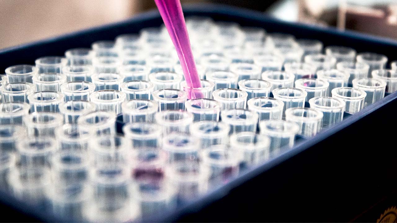 Tecnología en Procesos Químicos Industriales