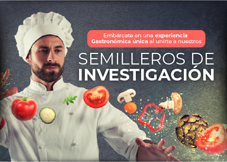 Semilleros de Investigación – Gastronomia