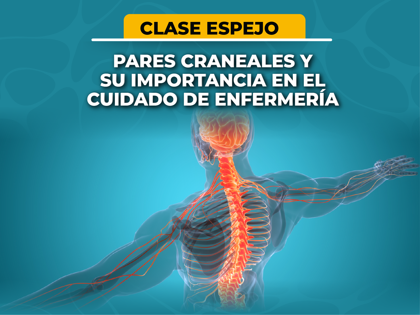 Clase espejo – Espejo pares craneales y su importancia